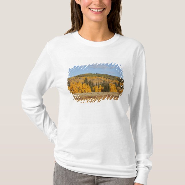 Camiseta Lambert Hollow, árboles de álamo (Anverso)
