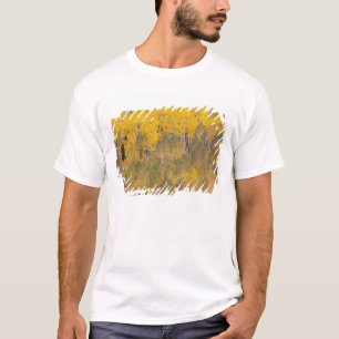 Camiseta Lambert Hollow, árboles de álamo