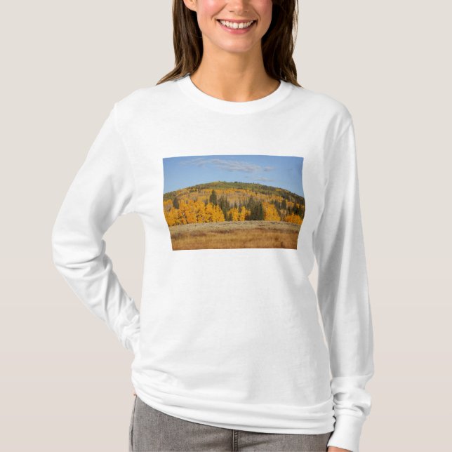 Camiseta Lambert Hollow, árboles de álamo temblón (Anverso)
