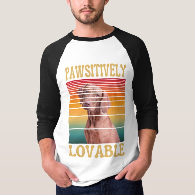 Camiseta LAMENTABLEMENTE AMABLE (Anverso)