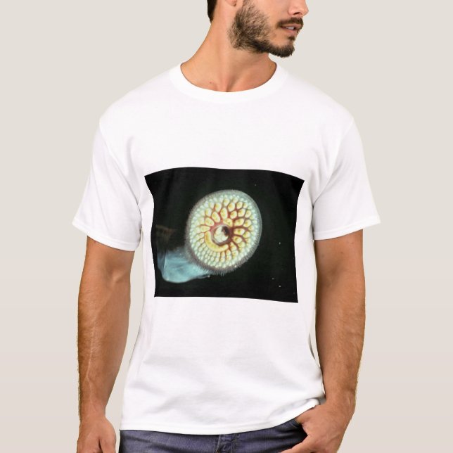 Camiseta Lamprea de mar (Anverso)