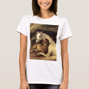 Camiseta Landseer La Tienda Árabe