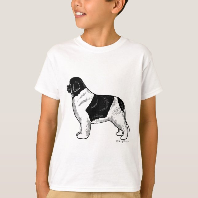 Camiseta Landseer Terranova (Anverso)