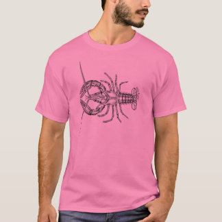 Camiseta Langosta americana