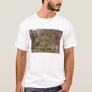 Camiseta Langures de Hanuman o langur gris, común o de cara