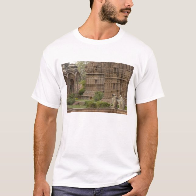 Camiseta Langures de Hanuman o langur gris, común o de cara (Anverso)
