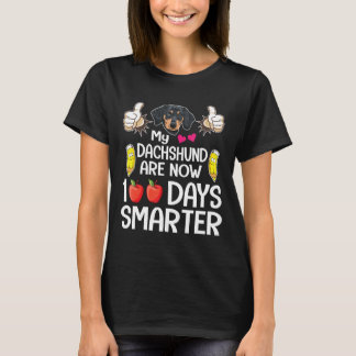 Camiseta Lápiz Y Manos Mi Dachshund Son Ahora 100 Días Sma