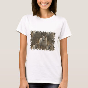 Camiseta larga de la manga de la raza del perro