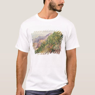 Camiseta Las corrientes de Languenas en el Cordellera,