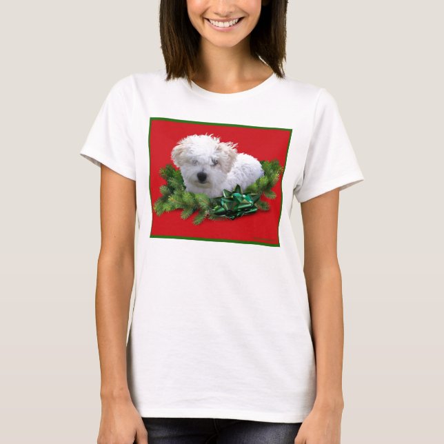 Camiseta Las damas de Bichon Frise Tom (Anverso)
