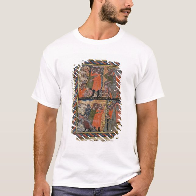 Camiseta Las diez plagas de Egipto TtoB (Anverso)