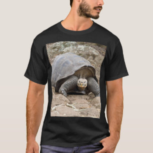 Camiseta Las Galápagos Se Tortugan Con Actitud.