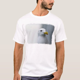 Camiseta Las gaviotas también necesitan amor