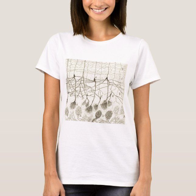 Camiseta Las neuronas 8 de Cajal (Anverso)