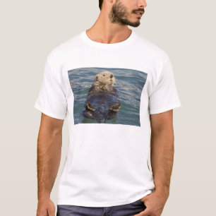 Camiseta Las nutrias marinas juegan en icebergs en Surprise
