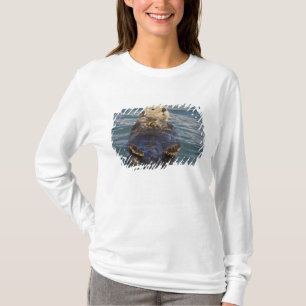 Camiseta Las nutrias marinas juegan en icebergs en Surprise