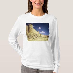 Camiseta Las paredes de la ciudad