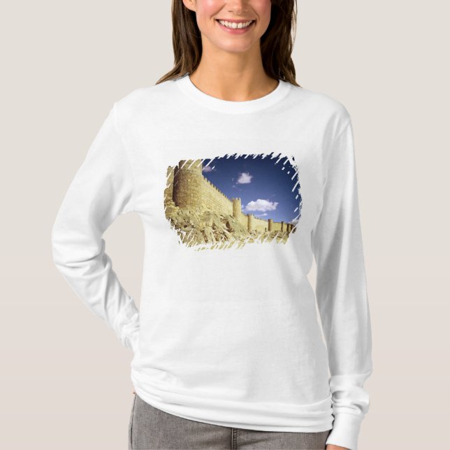 Camiseta Las paredes de la ciudad (Anverso)