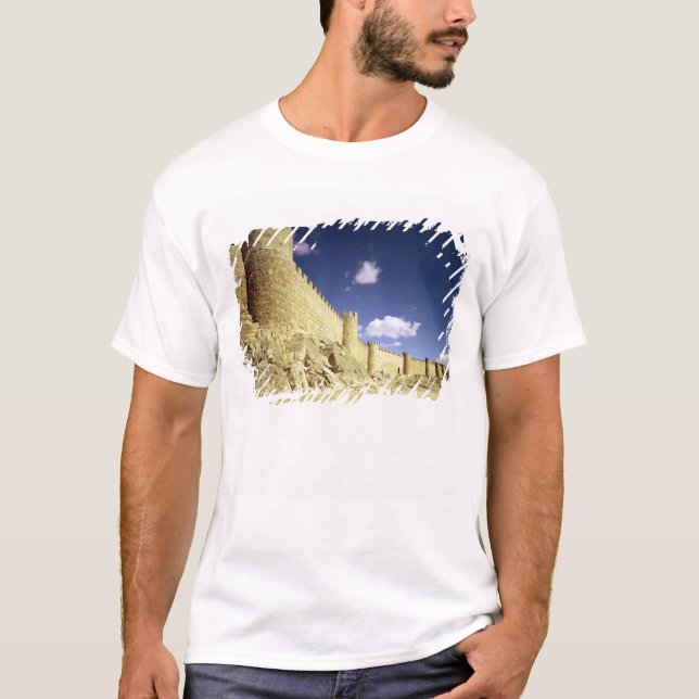 Camiseta Las paredes de la ciudad (Anverso)