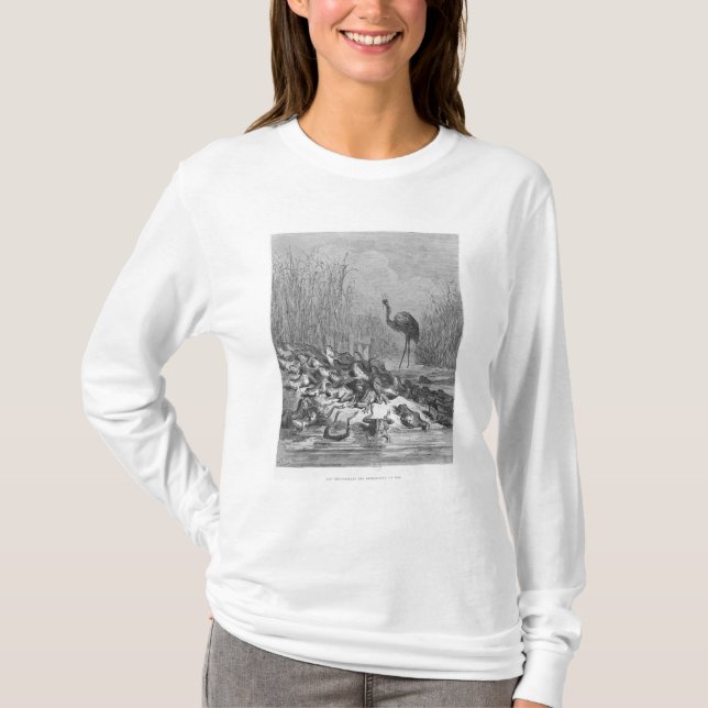 Camiseta Las ranas que piden un rey, (Anverso)