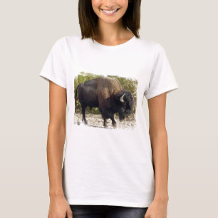 Camiseta Las señoras americanas del búfalo cupieron la
