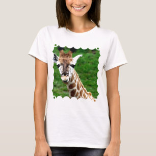 Camiseta Las señoras de la foto de la jirafa cupieron la