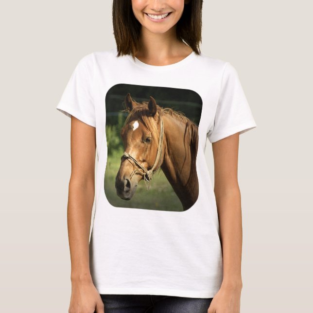 Camiseta Las señoras del potro de la castaña cupieron la (Anverso)