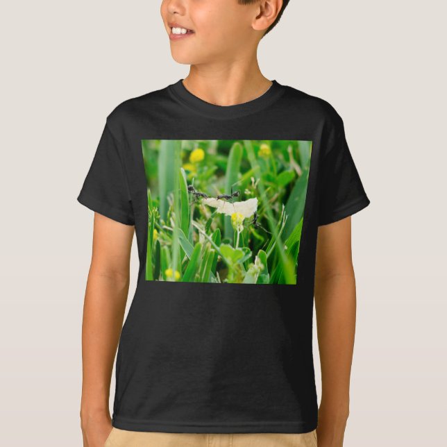 Camiseta ¨Las tres hormigas¨ (Anverso)