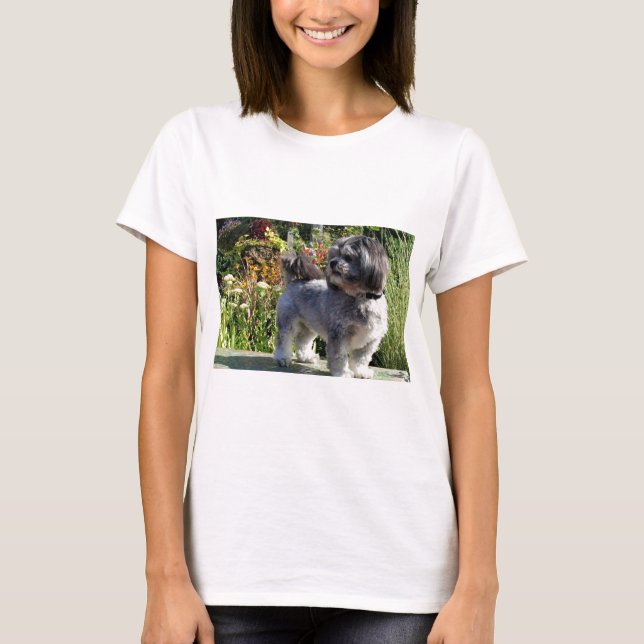 Camiseta Lasa Apso Bailey 1 (Anverso)