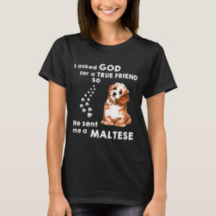 Camiseta Le Pedí A Dios Por Un Verdadero Amigo Que Me Envió