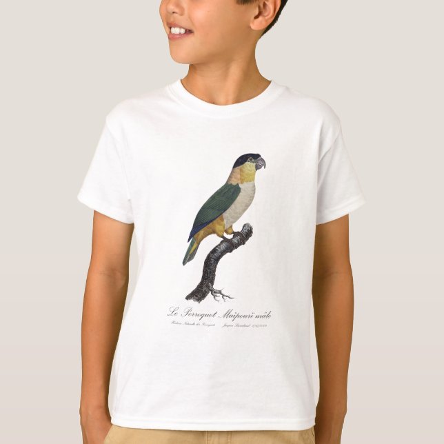 Camiseta Le Perroquet Maipouri / Loro de cabeza negra (Anverso)