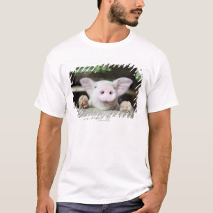 Camiseta Lechón en la pluma, cochinillo