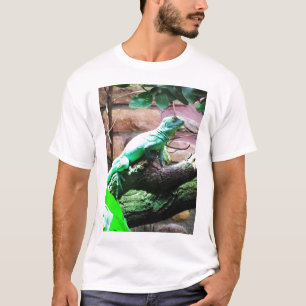 Camiseta Lechuga verde