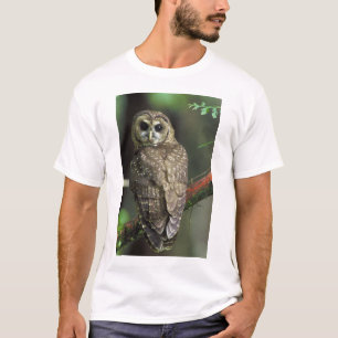 Camiseta Lechuza del Norte - Strix occidentalis caurina