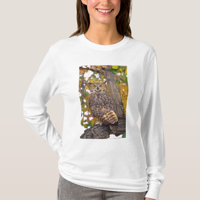 Camiseta Lechuza Horneada (Anverso)