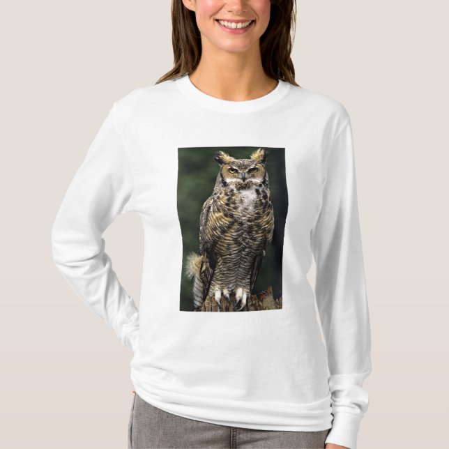 Camiseta Lechuza Horneada Grande (Bubo virginianus), cuerpo (Anverso)