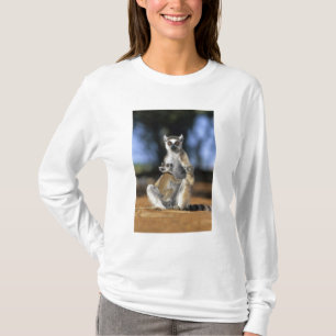 Camiseta Lémur de cola anillada, (Lemur catta), Madre y