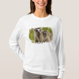 Camiseta Lémures de cola anillada (Lemur catta) Madre e hij