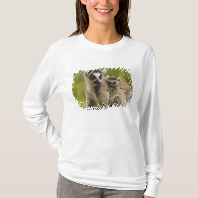 Camiseta Lemures (Lemur catta) Madre y bebé. (Anverso)