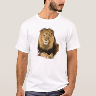 Camiseta León