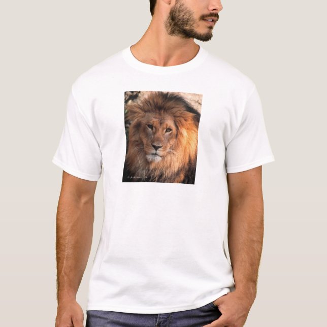 Camiseta León (Anverso)