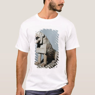 Camiseta León