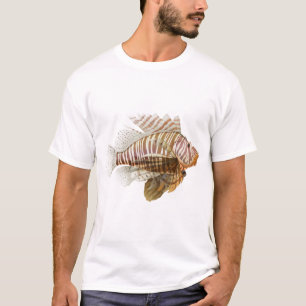 Camiseta León