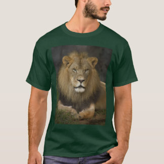 Camiseta León