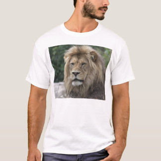 Camiseta León