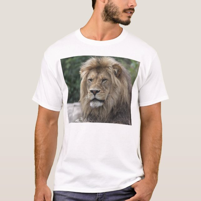 Camiseta León (Anverso)