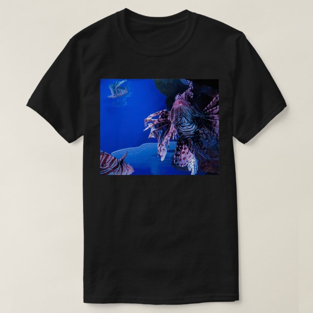 Camiseta León 4 (Diseño del anverso)