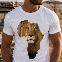 León Africano Continente África Animal