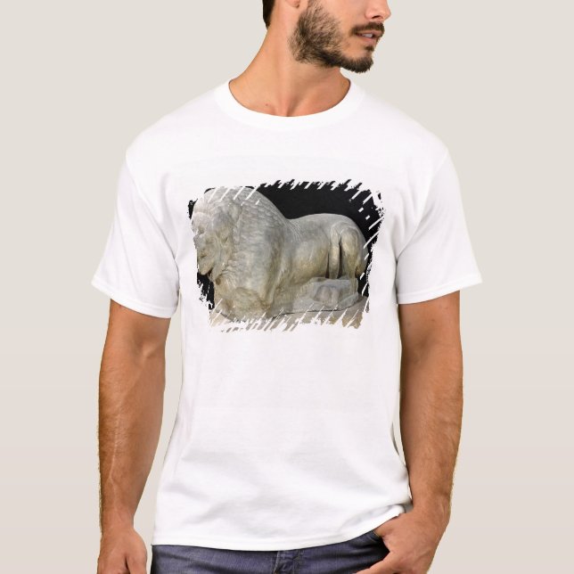 Camiseta León de Miletus (Anverso)
