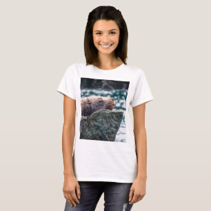 Camiseta León Marítimo En La Bahía De Resurrección, Alaska